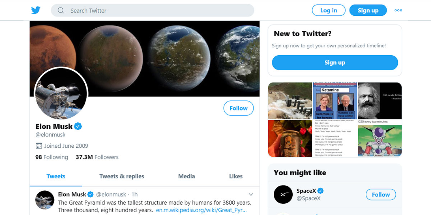 Elon Musk Twitter Account Screenshot