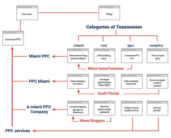 Category of texonomies