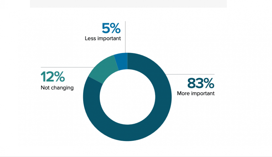 video-marketing-survey