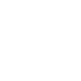 Revenue Generated through business consulting