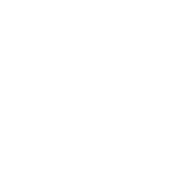 Revenue Generated by Social Ads services